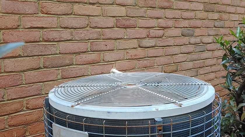 How Do You Oil a Sealed Fan Motor