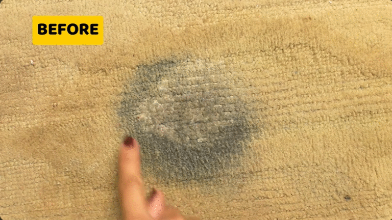 How to Get Motor Oil Out of Trunk Carpet
