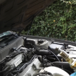 Should There Be Oil on My Spark Plugs?