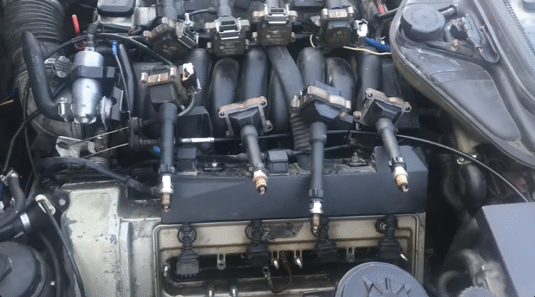 Should a Spark Plug Have Oil on It