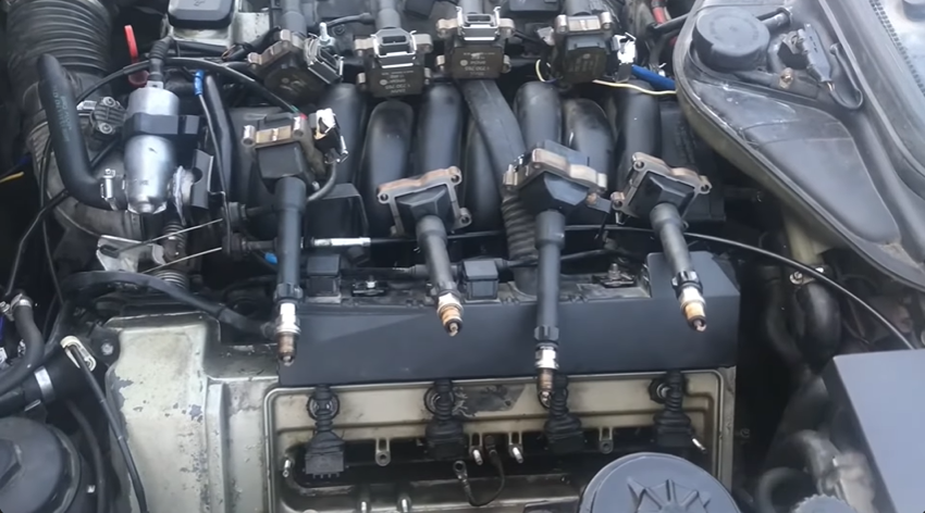 Should a Spark Plug Have Oil on It