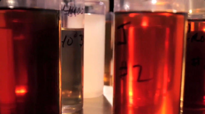 Is Vacuum Pump Oil the Same As Compressor Oil?