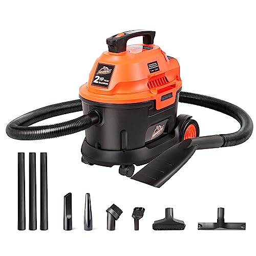 Best Vacuum for Car Detailing