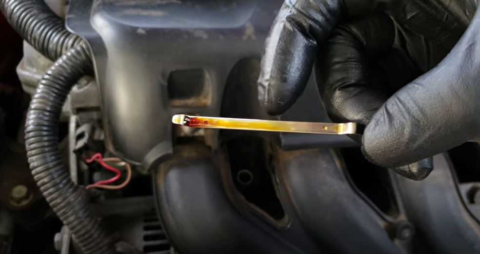 How To Read A Dipstick For Oil Automotive Widgets