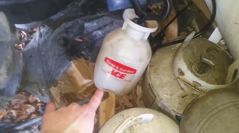 How to Spray Motor Oil