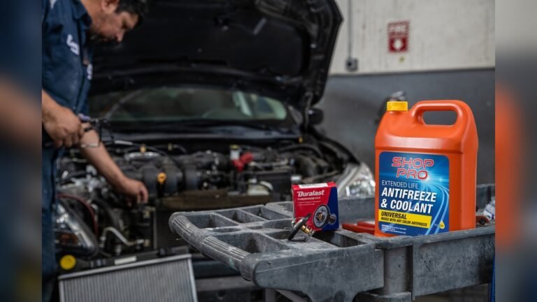 How Much Does It Cost to Replace Thermostat in Car