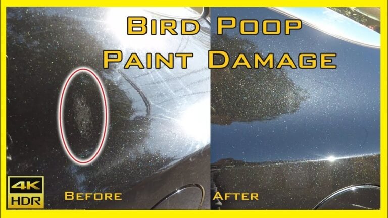 How to Remove Bird Poop from Car Without Damaging Paint